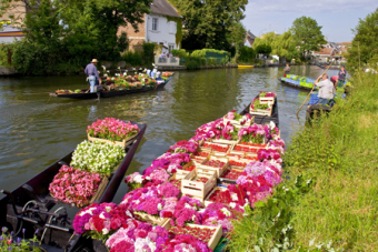 hortillonnages_sommetoursime